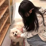 葫芦娃酷跑金刚新版破解版下载